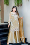 Designer Sharara Salwar Suit