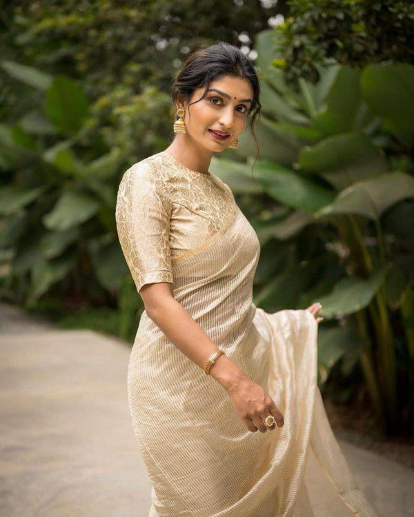 Jashn Royal look Striped Organza Tissue silk saree with Designer Brocade Blouse