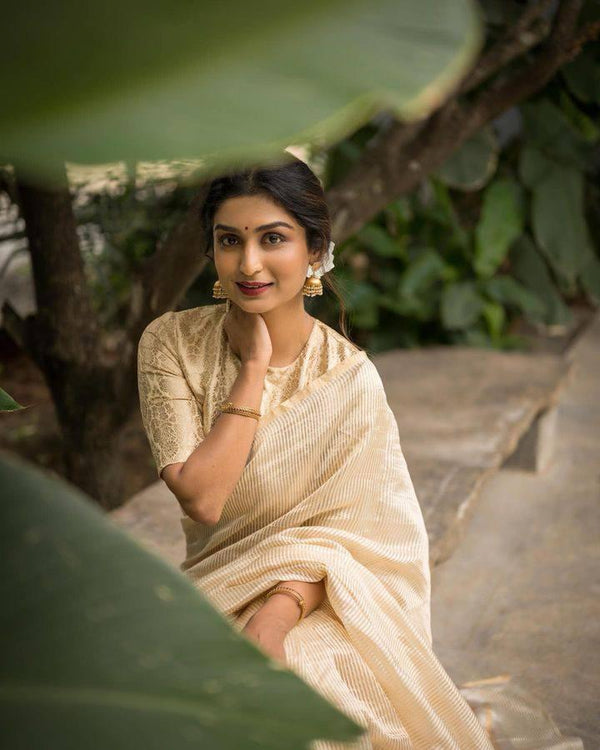 Jashn Royal look Striped Organza Tissue silk saree with Designer Brocade Blouse