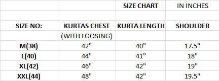 Men's Indian Ethnic Kurta Pajama with embroidered sequin embellished Set