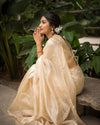 Jashn Royal look Striped Organza Tissue silk saree with Designer Brocade Blouse