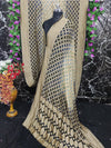 Pure Khaddi Georgotte Banarasi Nakshi Bandhej Saree in Black Ash Dual Tone