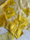 Daisy Yellow and white Soft Organza saree with stitched blouse