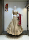 Navratri Garba Ghaghra choli Chaniya Choli Lehenga Choli Dupatta set