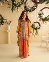 Designer Indowestern Co-ord sets