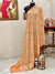 Soft Pashmina Nalki Kashmiri work Orange Shawl