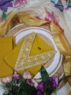 Blossom Semi Party wear salwar suit